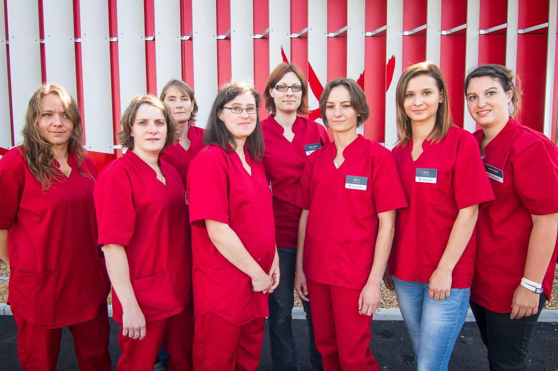 Clinique vétérinaire Avrillé (49) assistante veterinaire angers