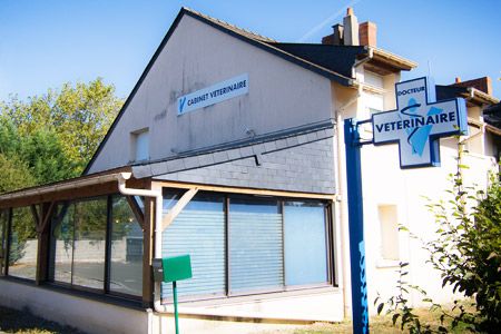 veterinaire saint jean de linieres