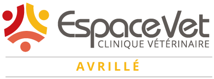 Espace Vet Avrillé