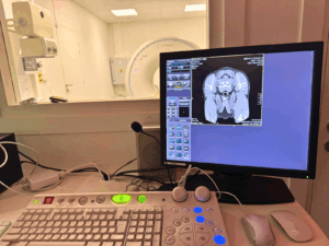 scanner chien angers